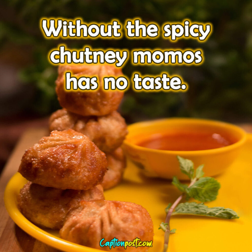 Without the spicy chutney momos has no taste.