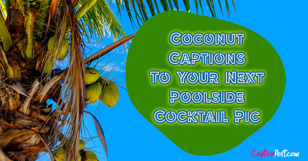 Coconut Captions To Your Next Poolside Cocktail Pic Captionpost