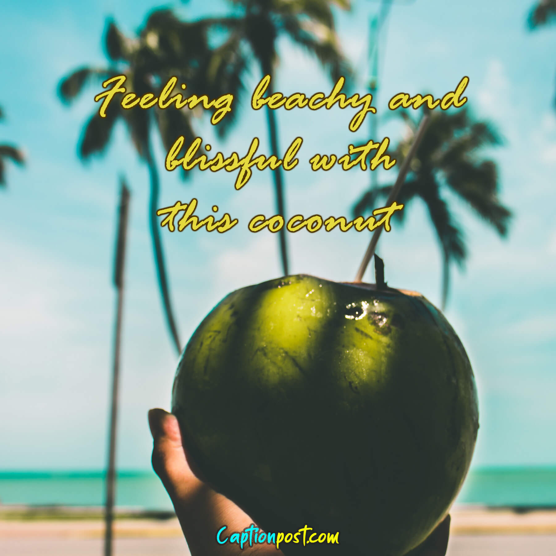 Coconut Captions To Your Next Poolside Cocktail Pic Captionpost