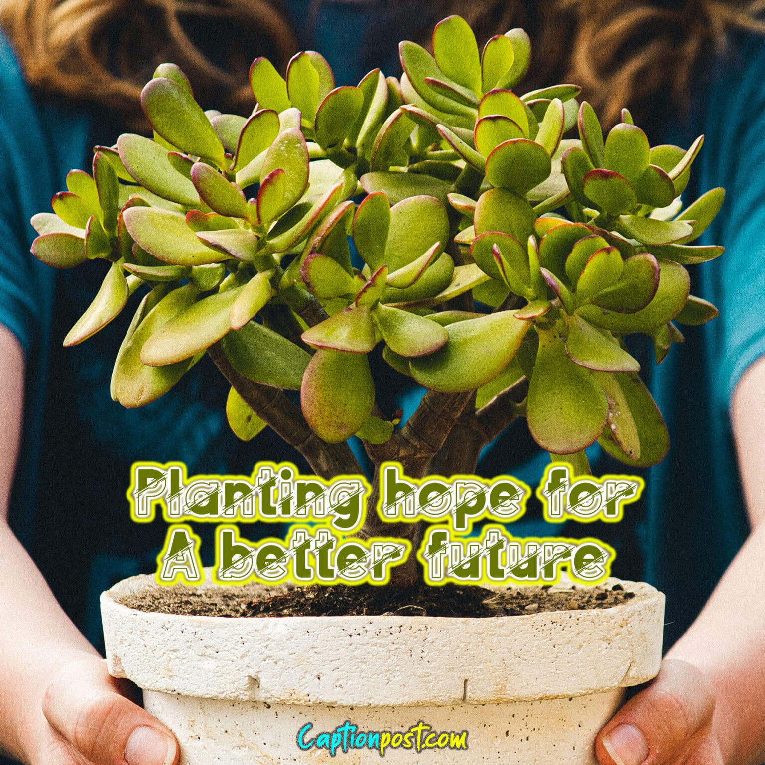 Tree Captions for Instagram to Salute the Nature Captionpost