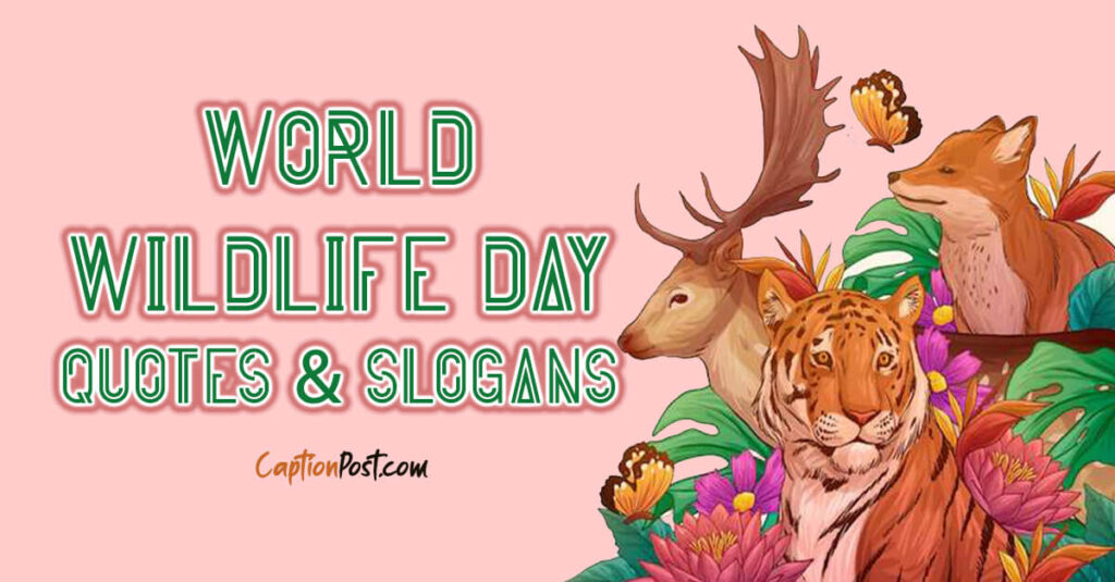 World Wildlife Day Quotes Slogans Captionpost world-wildlife-day-quotes-slogans-captionpost