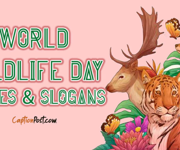 World Wildlife Day Quotes & Slogans