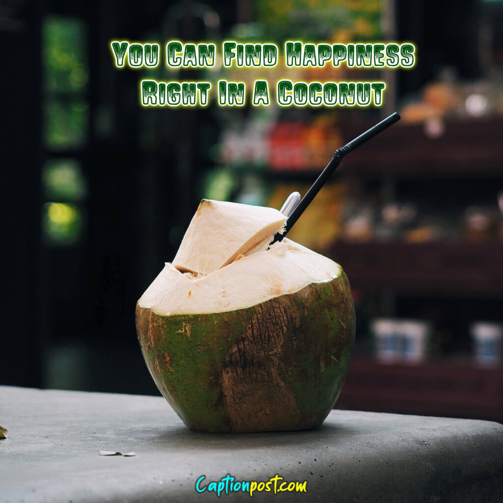 You Can Find Happiness Right In A Coconut.