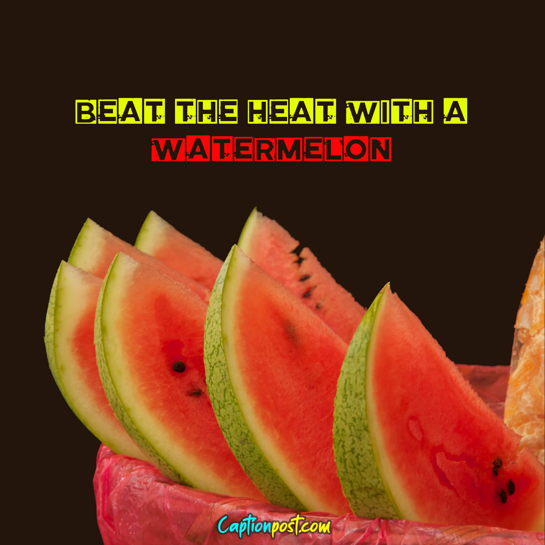 75+ Watermelon Captions For Instagram Captionpost