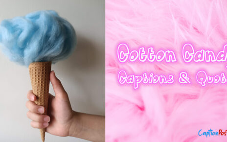Creative Cotton Candy Captions and Quotes