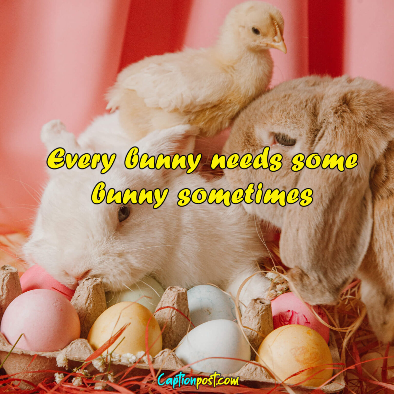 100+ Easter Captions For All Your Instagram Post Captionpost