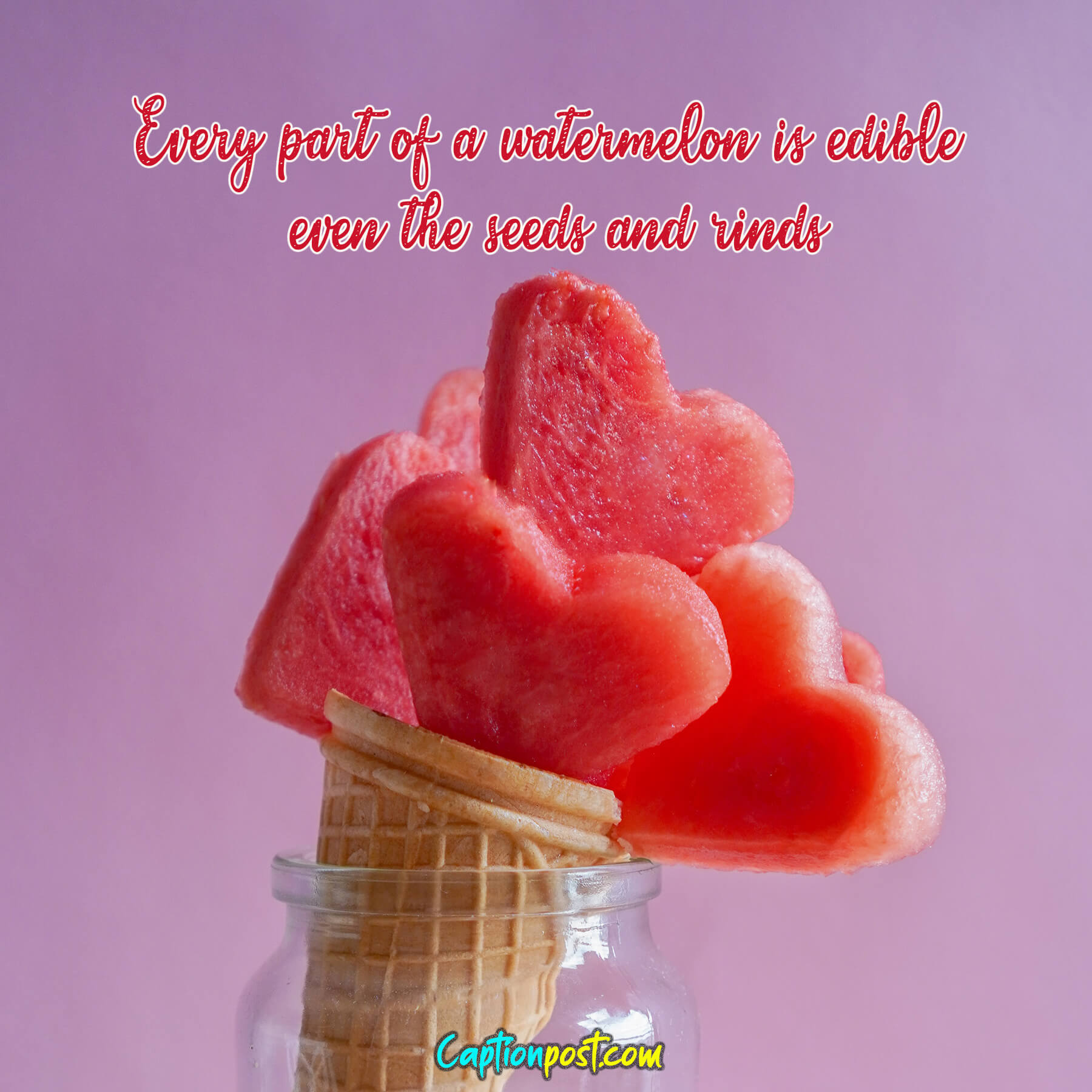 75+ Watermelon Captions For Instagram Captionpost