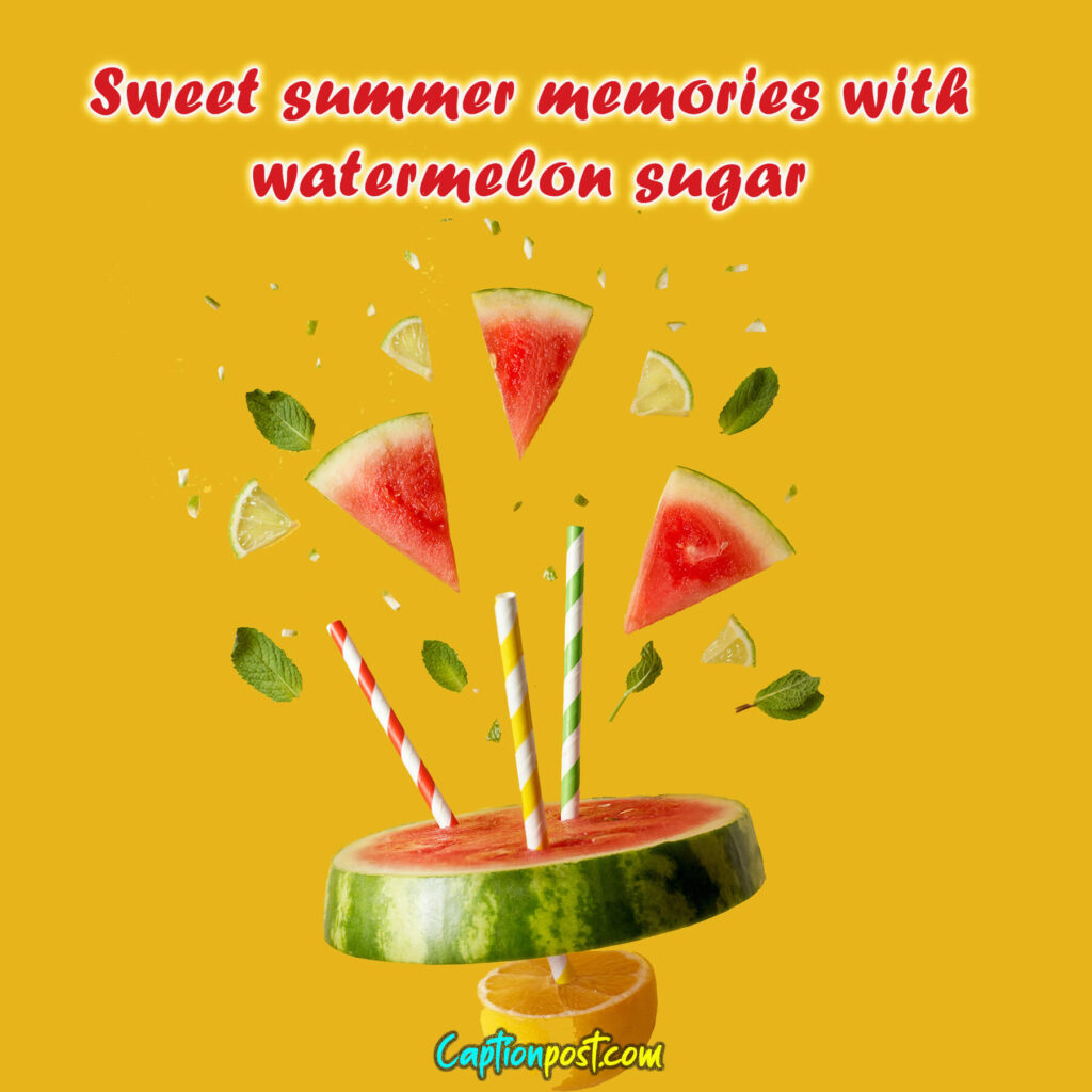 Watermelon Sugar Instagram Captions