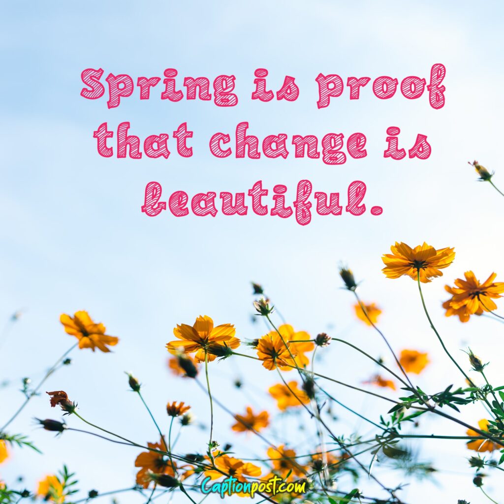 Flower Spring Captions For Instagram