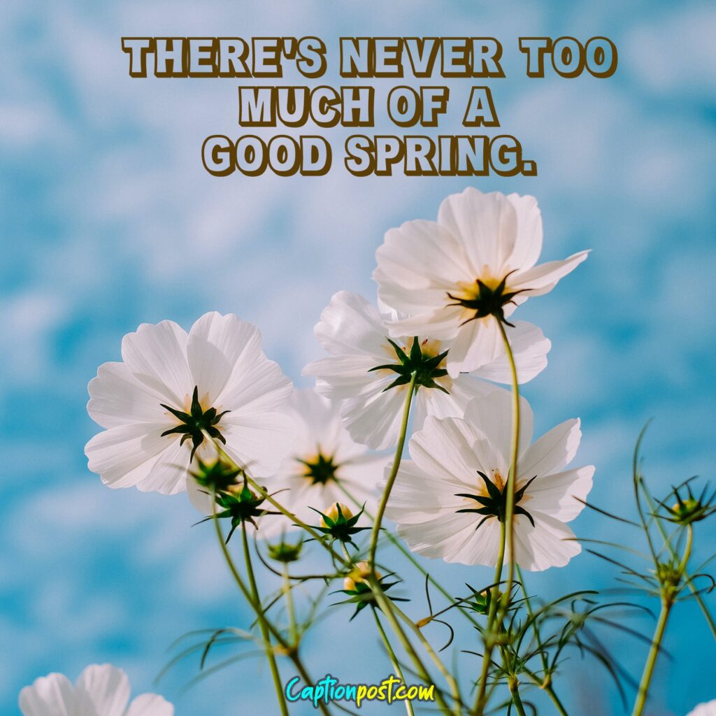 Funny Spring Captions For Instagram