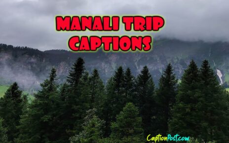 Manali Trip Captions For Instagram