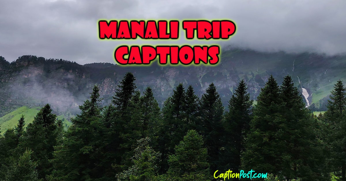Manali Trip Captions For Instagram