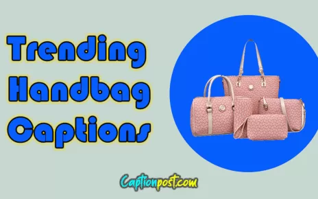 Trending Handbag Captions For Instagram