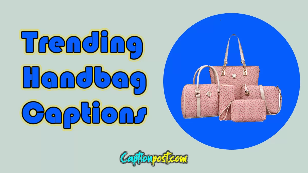 Trending Handbag Captions For Instagram Captionpost