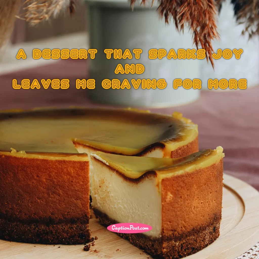 Popular Cheesecake Captions For Instagram