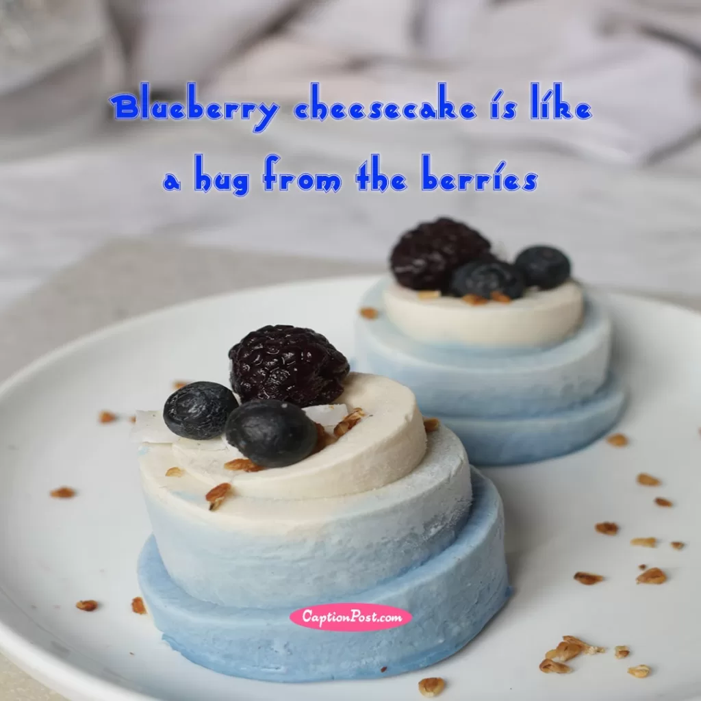 Blueberry Cheesecake Captions For Instagram