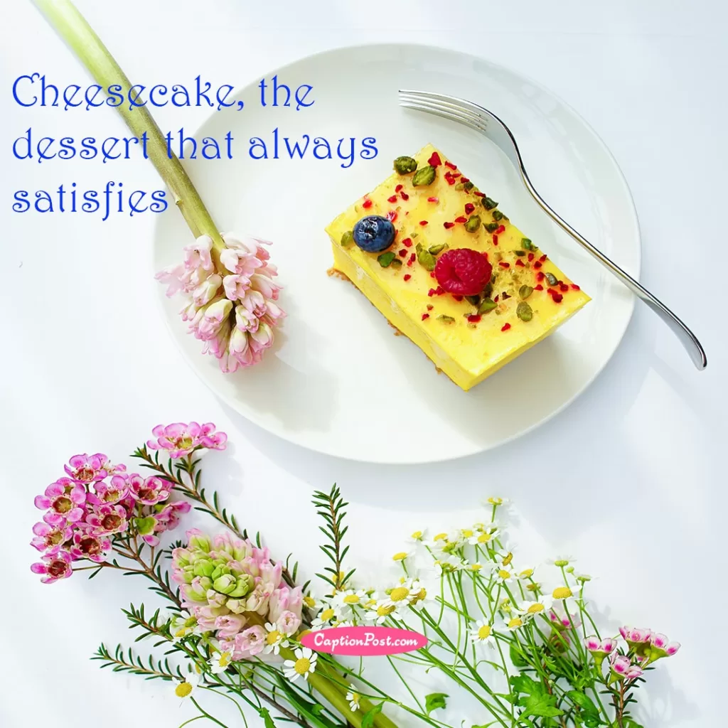 Best Cheesecake Captions For Instagram