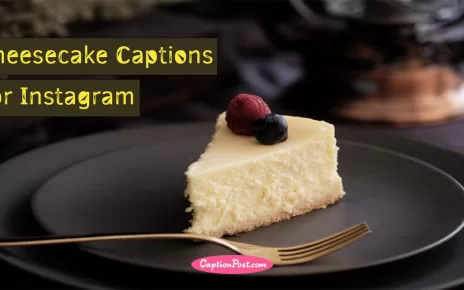 Cheesecake Captions For Instagram