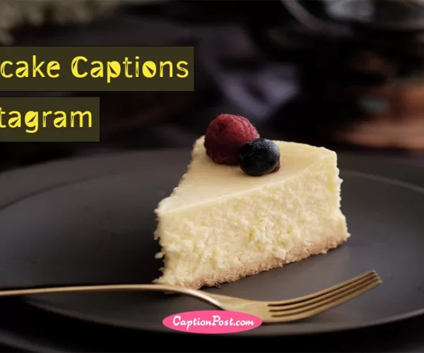 Cheesecake Captions For Instagram