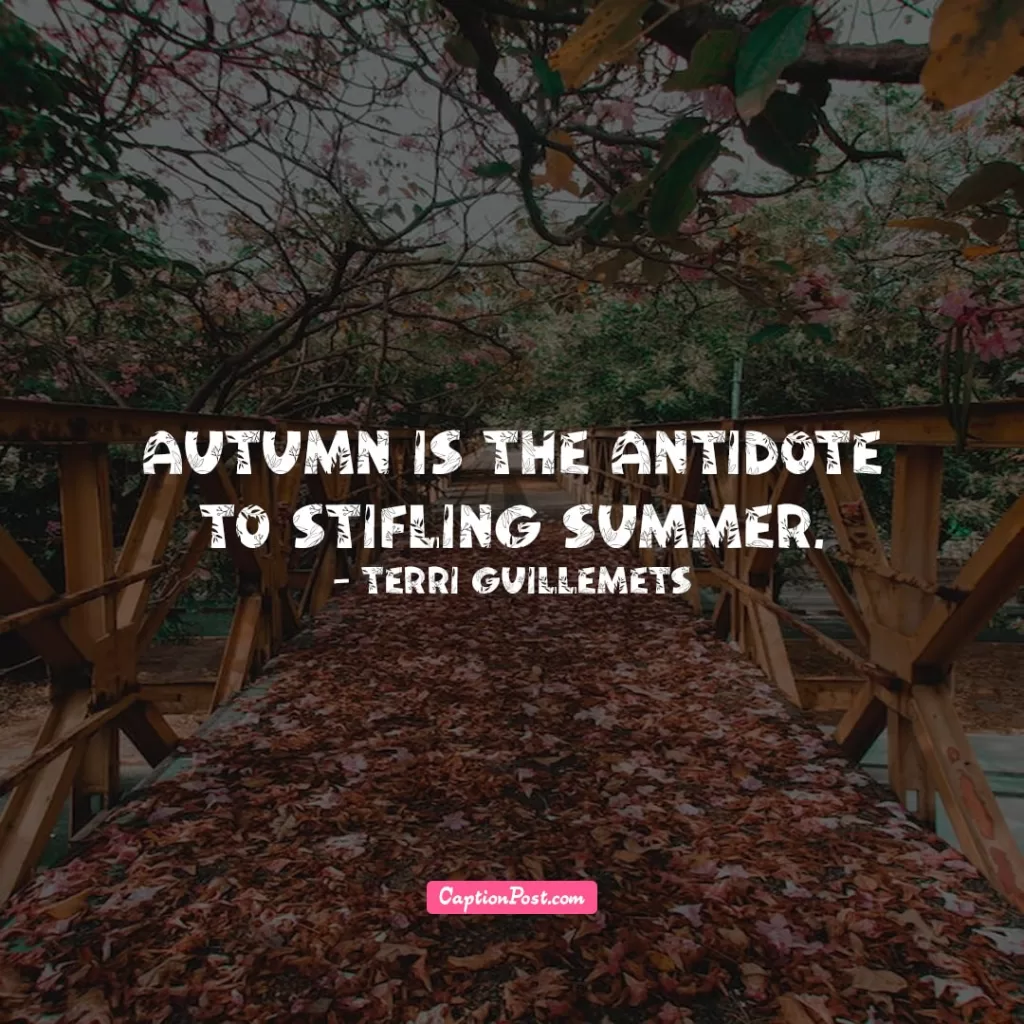 Short Fall Autumn Quotes