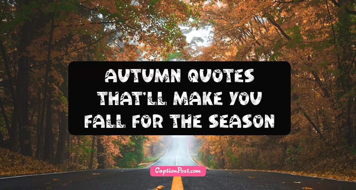 55+ Autumn Quotes That'll Make You Fall for the Season