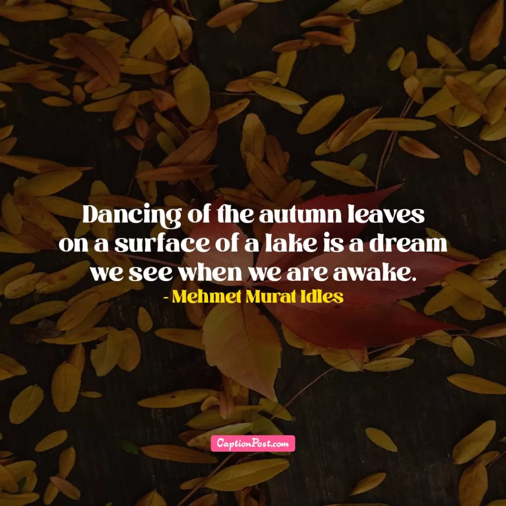 Beautiful Fall Autumn Quotes