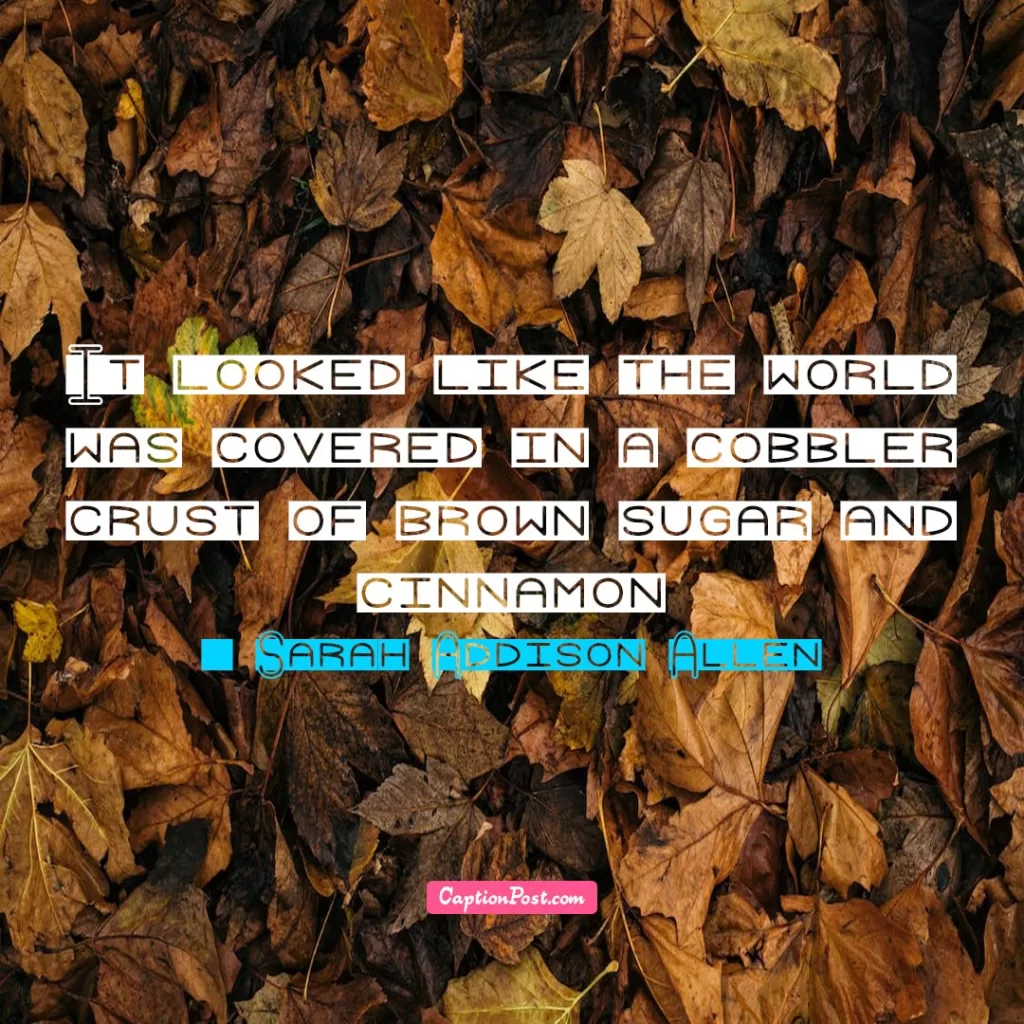 The Most Beautiful Quotes About Autumn🍂
