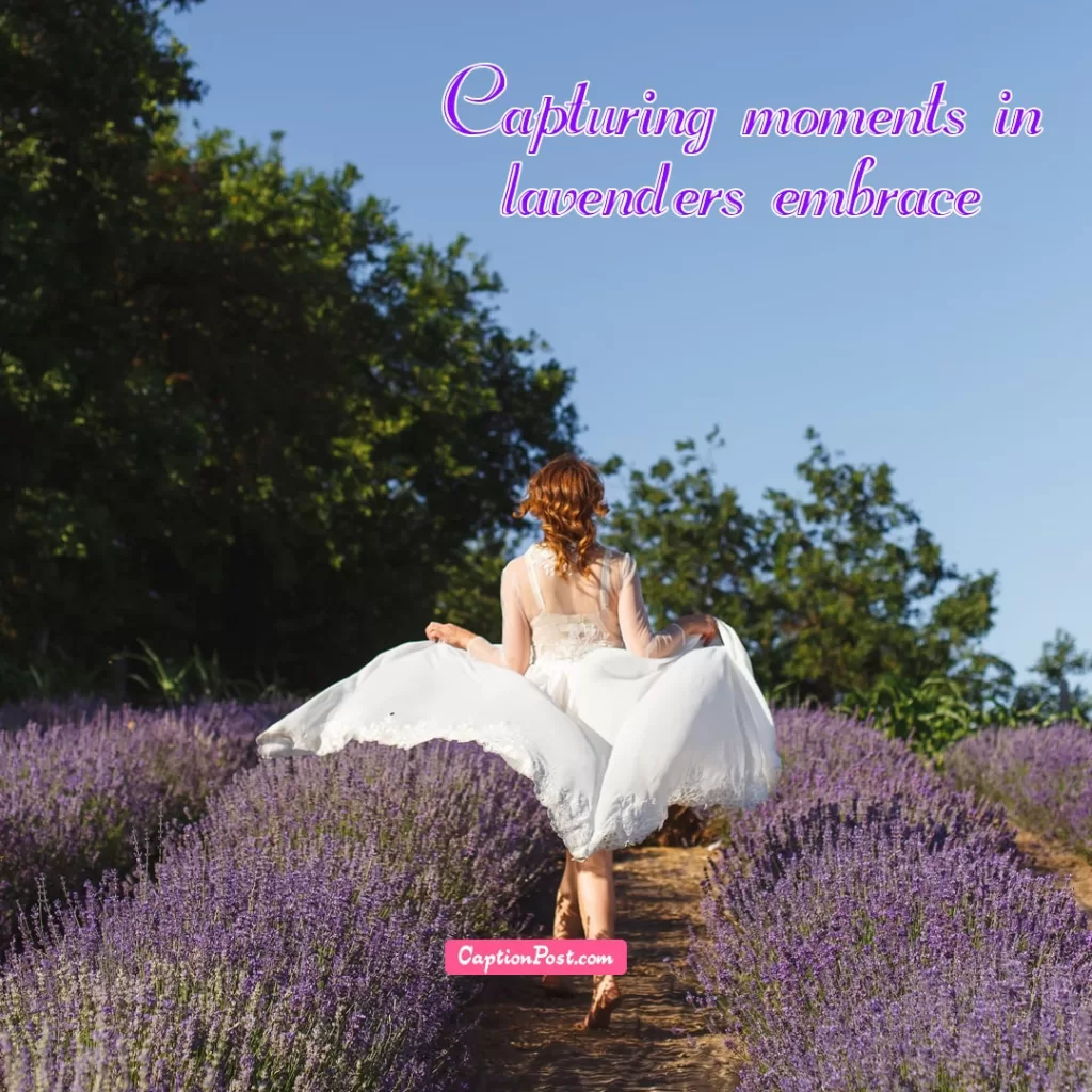 Lavender Flowers Captions For Instagram