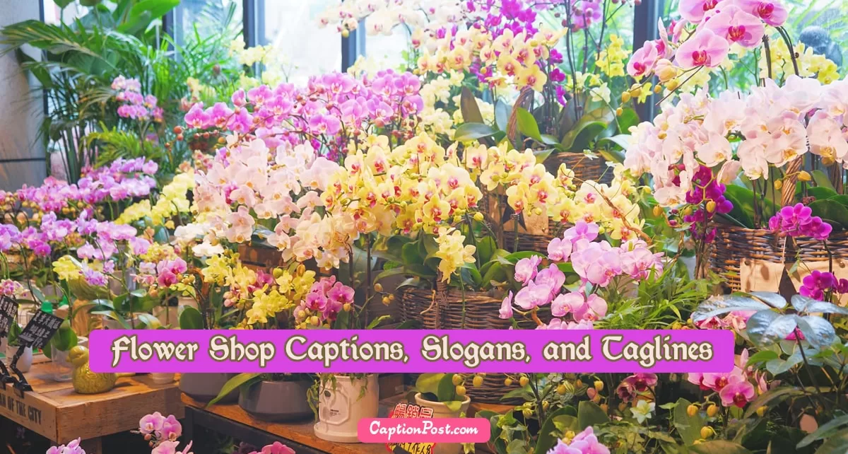 Flower Shop Captions, Slogans, and Taglines