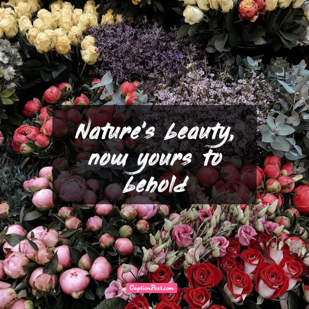 Flower Shop Captions For Instagram