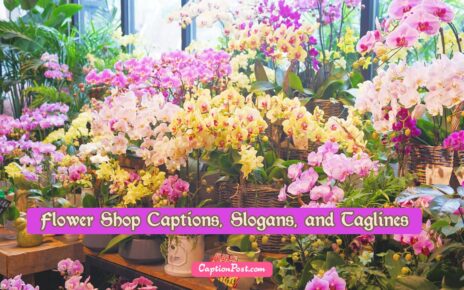 Flower Shop Captions, Slogans, and Taglines