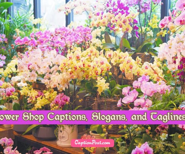 Flower Shop Captions, Slogans, and Taglines