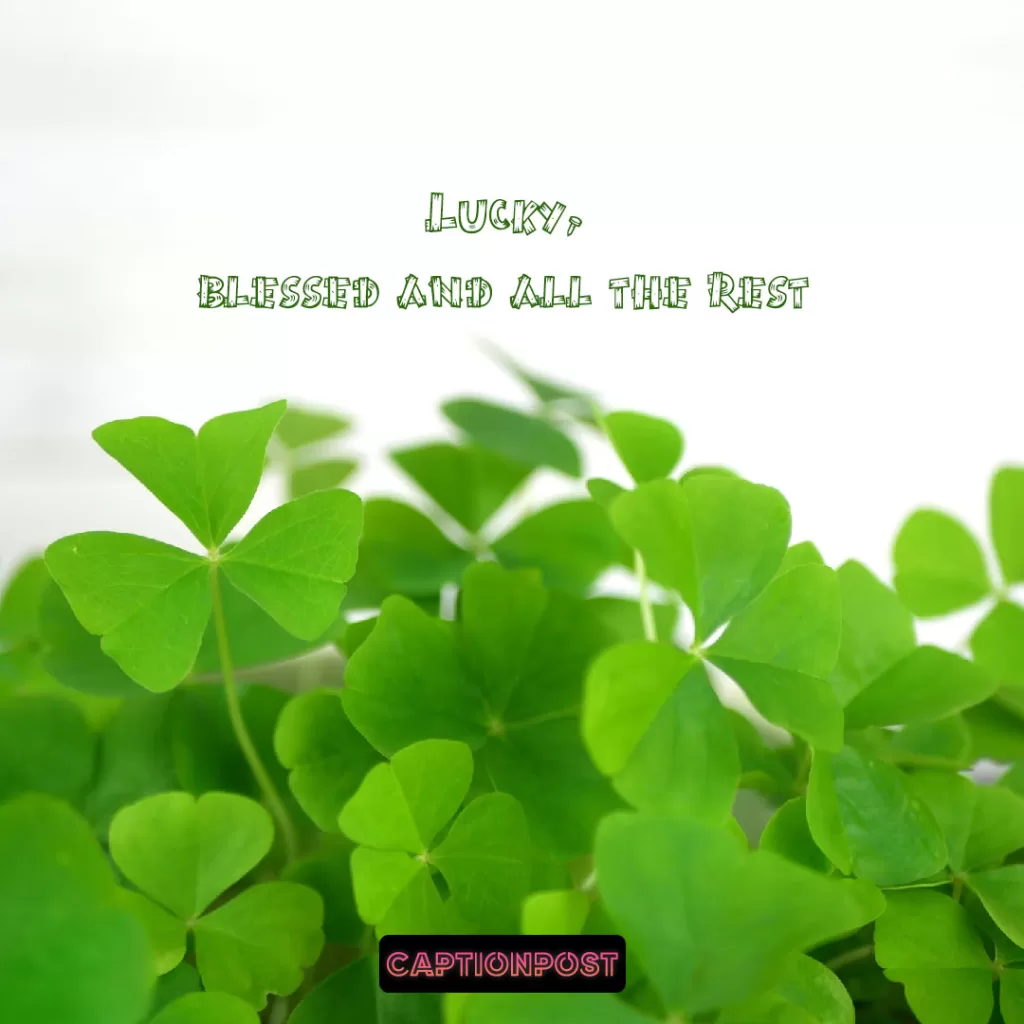Cute St. Patrick's Day Captions For Instagram