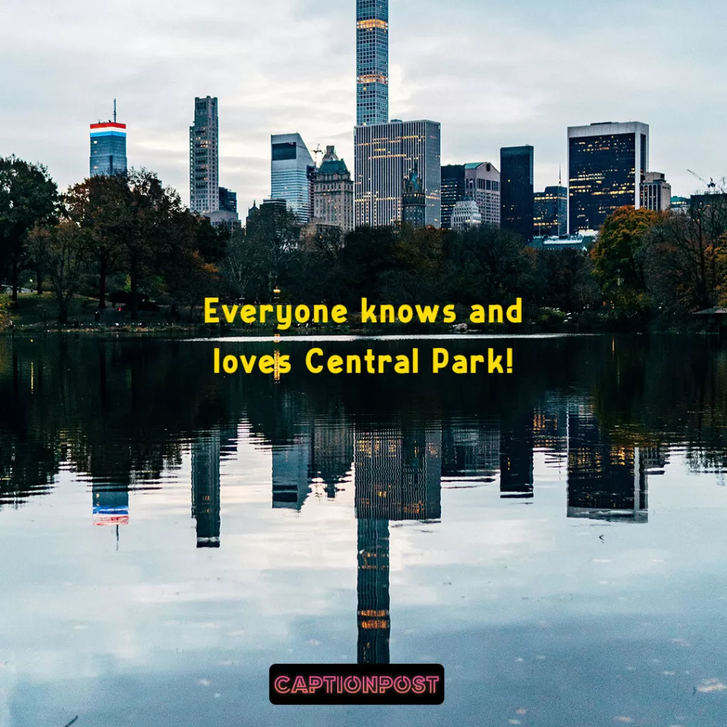 Central Park Pictures Captions For Instagram